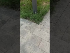 ✅ Light Up The Park! Light Up the Lawn, Light Up a Life.