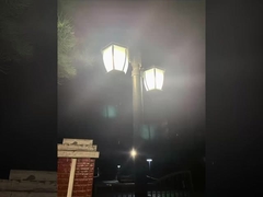 ？Where can you see Courtyard Lights? Park or Residential Area