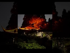 !!! Check Out This Bright Lwan Lamp