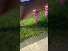 Outdoor Landscape Lighting- Public Lighting For Streets And Parks