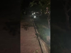 Outdoor Pathway Lights - Lighting for Parks