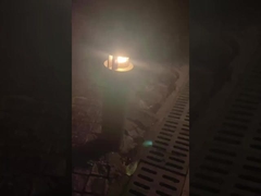 Illuminate outdoor paroks with Lawn In Order Landscapes!