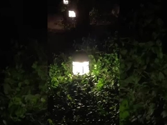Lawn Light LED Outdoor Community Road Landscape Lighting Villa Park Forest Garden Path Lamp