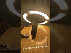 Garden Light Test Voltage-Customized Lighting