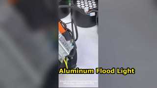 50W Black Aluminum Floodlight for Parks.