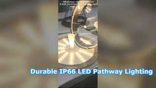 IP66 Waterproof Led Courtyard Light With Die-casting Aluminum Used In Parks.