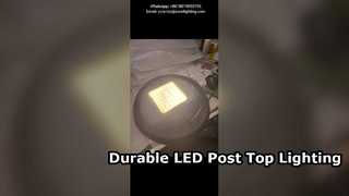 60W 4000K Led Garden Light With Single Arm IP66 IK10 Used In Parks And Urban Roads.