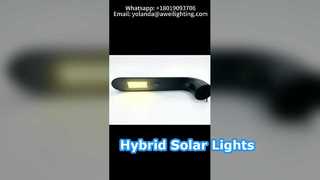 Solar Street Light With 200W Solar Round Panel Used In Urban Roads.