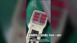 Post Top Light Garden Light 50W With High Efficiency Used In Parks And Streets.