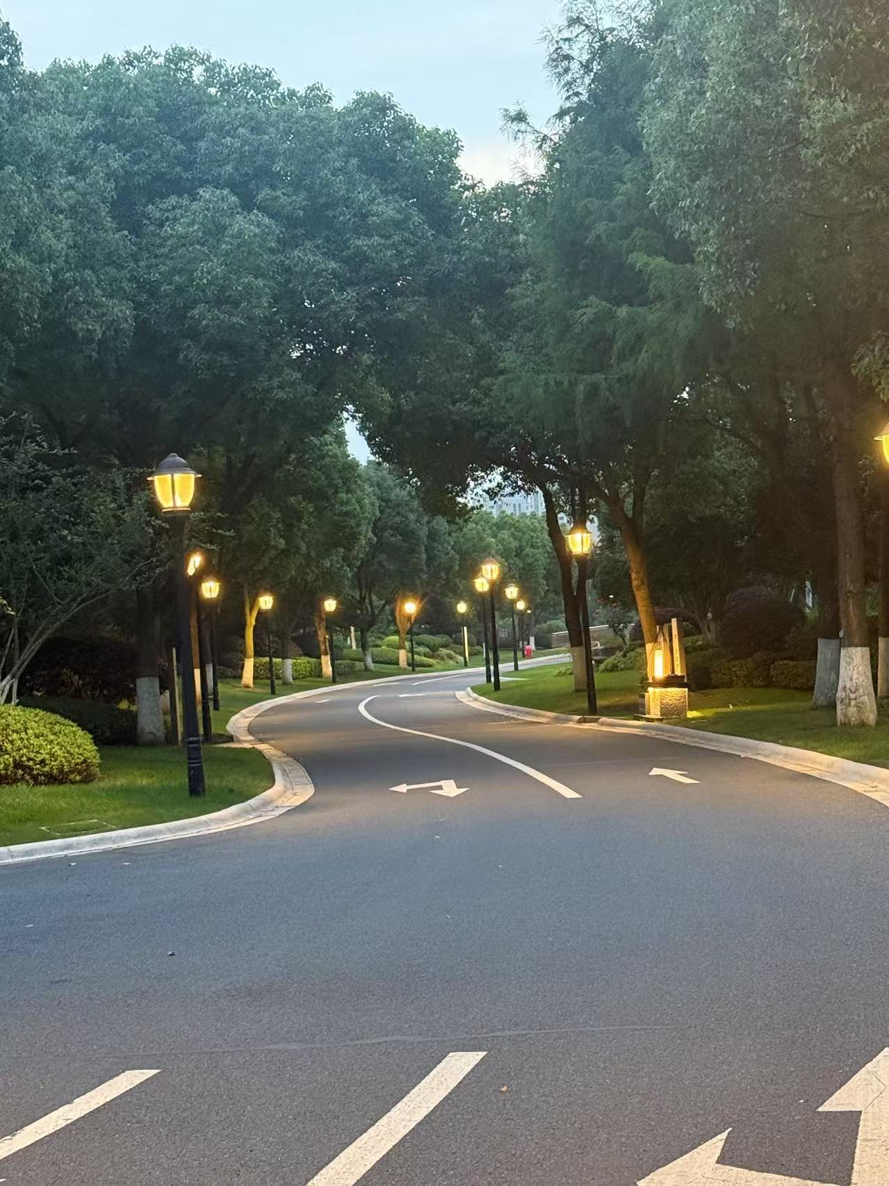 Latest company blogs about Is Your Outdoor Lighting Project Truly Customized to Your Needs?