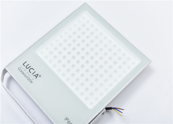 White 100w 130lm / W 120 Volt Led Outdoor Flood Lights