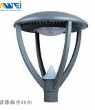 60W LED Garden Light Fixtures Die-cast Aluminium Material cable 3 For Parks,Squares Garden Landscape Lighting