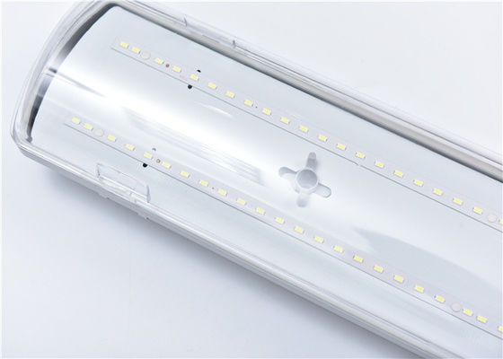 1200mm 36W 2*36W Vapor Proof Led Lights For Tunnel / Railway Station